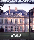 アヤラ